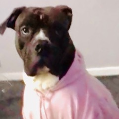 Will Grigg's On Fire - FAST REMIX