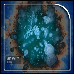 MioWnize - Risma