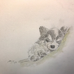 バブル:Mune＆曼荼ラボ