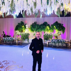 Chicago Wedding Mix for Charlie & Dima