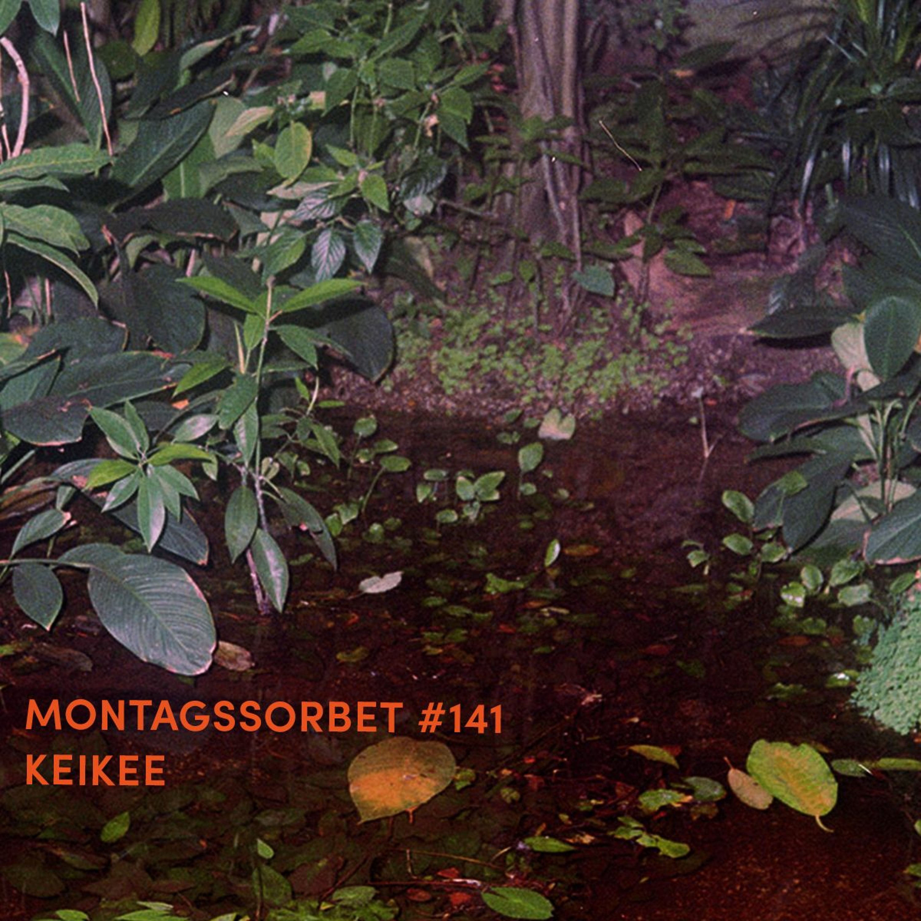 #141: Keikee - Montagssorbet mit Laut & Luise episode artwork