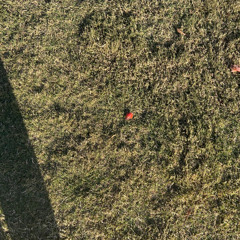 Multiply - 11_19_25, 11.35 PM