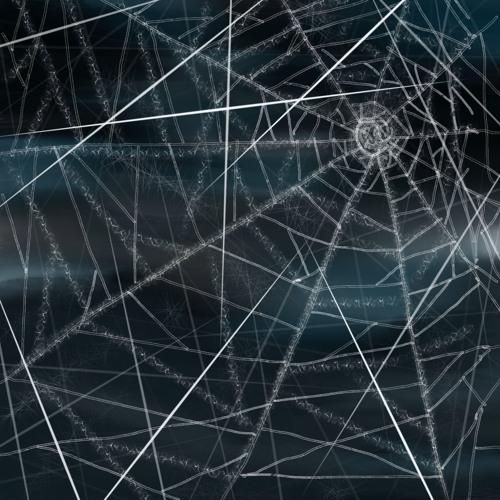 In The Web Naviarhaiku473