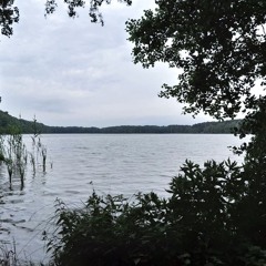 Jezioro Gościąż/Gościąż Lake