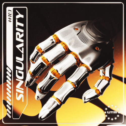 Singularity #10 : mes amis x DJ Holgersson