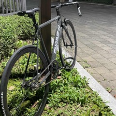 흩날리는 꽃잎아 speed up