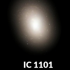 IC 1101