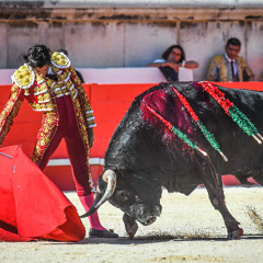 La Corrida (Francis Cabrel)