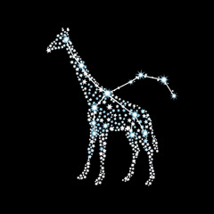 CAMELOPARDALIS
