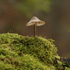 Exit 2025 / A Dub & Progressive Journey