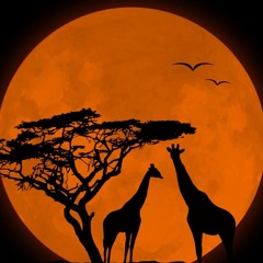 Mita Gami - Sun (be as one Remix)