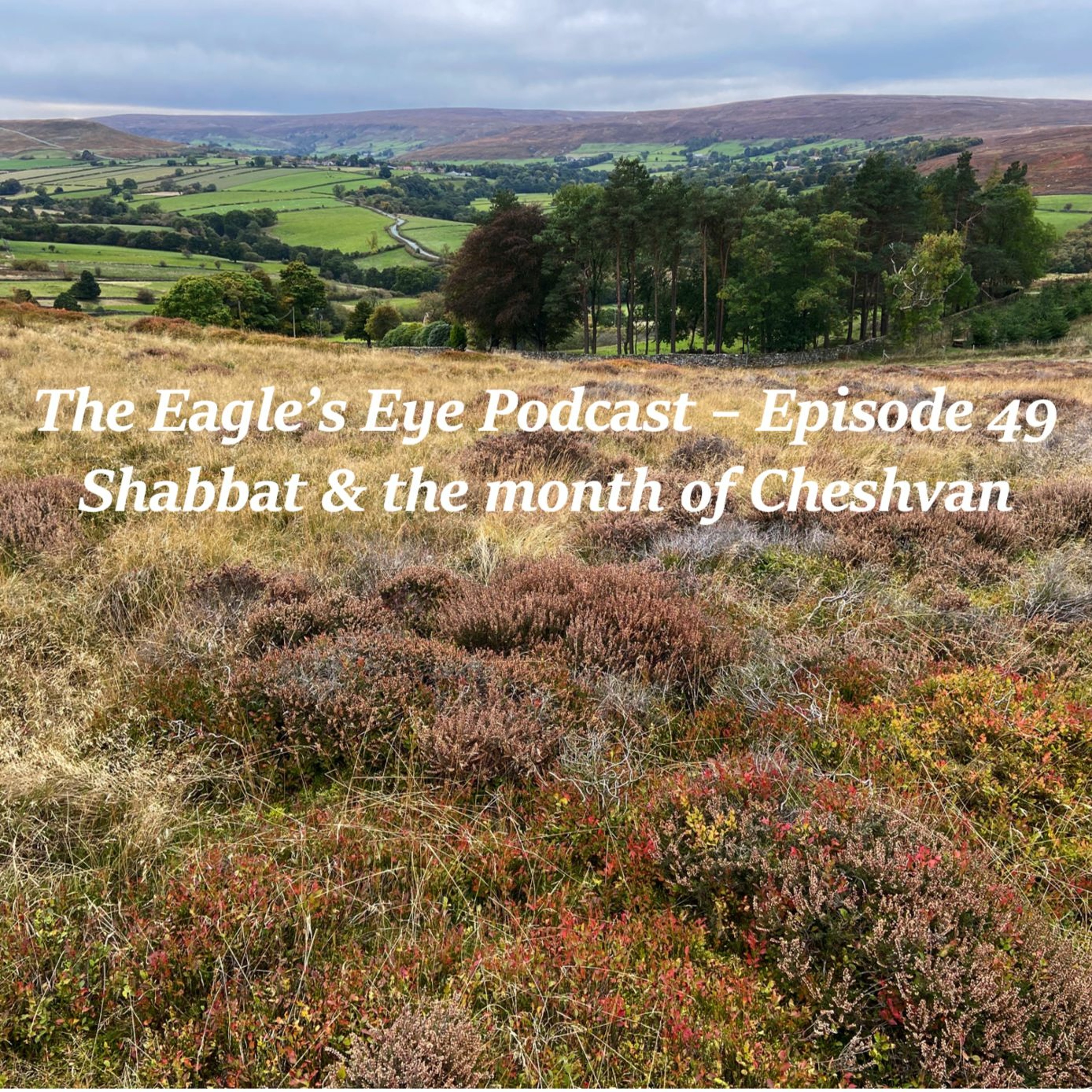 The Eagle\'s Eye Podcast