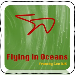 Flying In Oceans