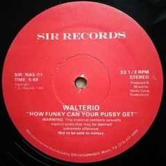 Walterio - How Funky Can Your Pussy Get