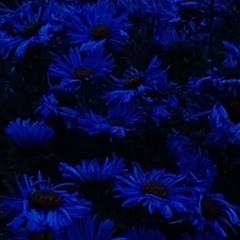 boutU - lameboysharp (prod. tylo)