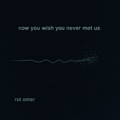 Roi Omer - Now You Wish You Never Met Us