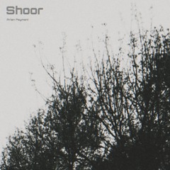 Shoor
