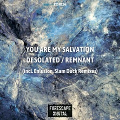 You Are My Salvation — Desolated (Enlusion's Old Harbour Remix)