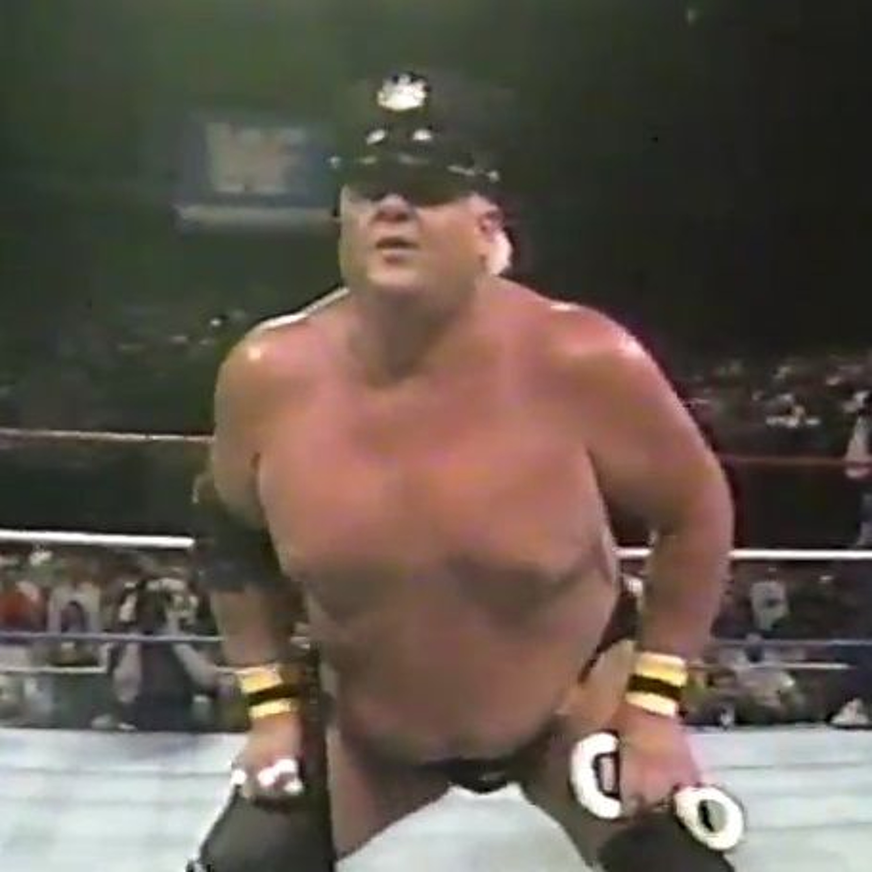 GFA Live #192: WWF Superstars 08-26-1989 (Andre punks Warrior)