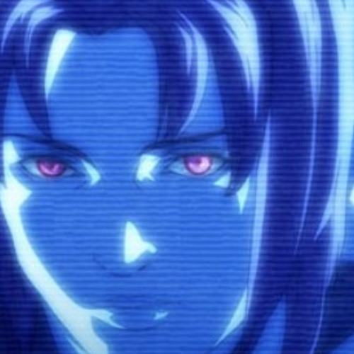 POLOSKABOI "WINDOWS"