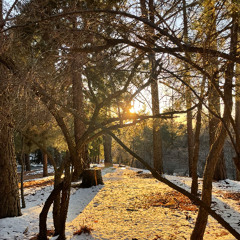 Jesus Said I Am The Way | SSOT 2022