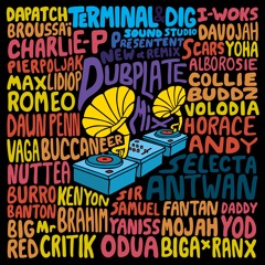 NEW & REMIX DUBPLATE MIX by SELECTA ANTWAN