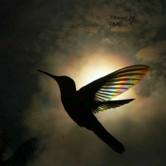Melodic - Techno /006 (Angel of things)