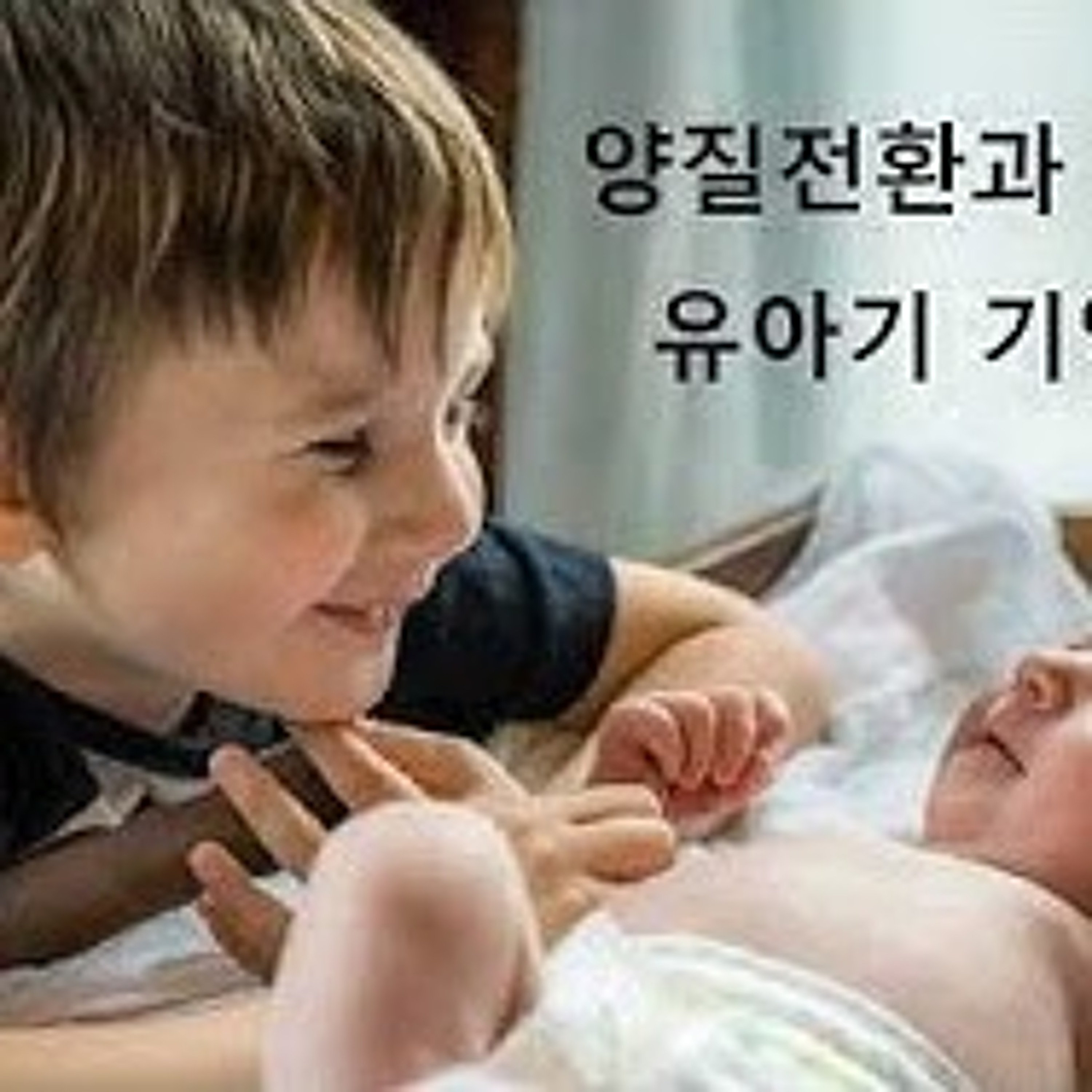 2026-07-26 양질전환과 엔트로피, 유아기 기억상실증