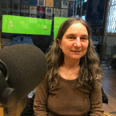 Tracy Frisch on Permit Renewal for Wheelabrator Hudson Falls garbage incinerator