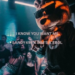 I KNOW YOU WANT ME - ( SANDY494 X BIM'S X EBOL ) #SUPERJETTT