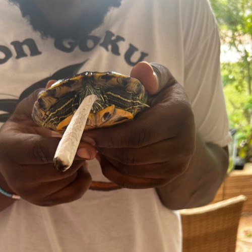 Casanova Complex- Daniel Caesar  (UNRELEASED) 2025