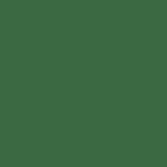 4/365 evergreen