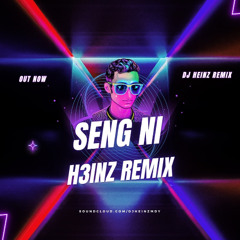 Seng Ni - Tang Paw Ah Tu ( H3INZ REMIX )