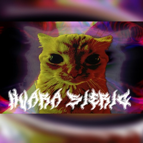 DistØrder - Mad As Hell (ham.rd rmx)
