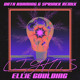 on Ellie Goulding - Lights (Data Roaming x SPRINKK Remix)