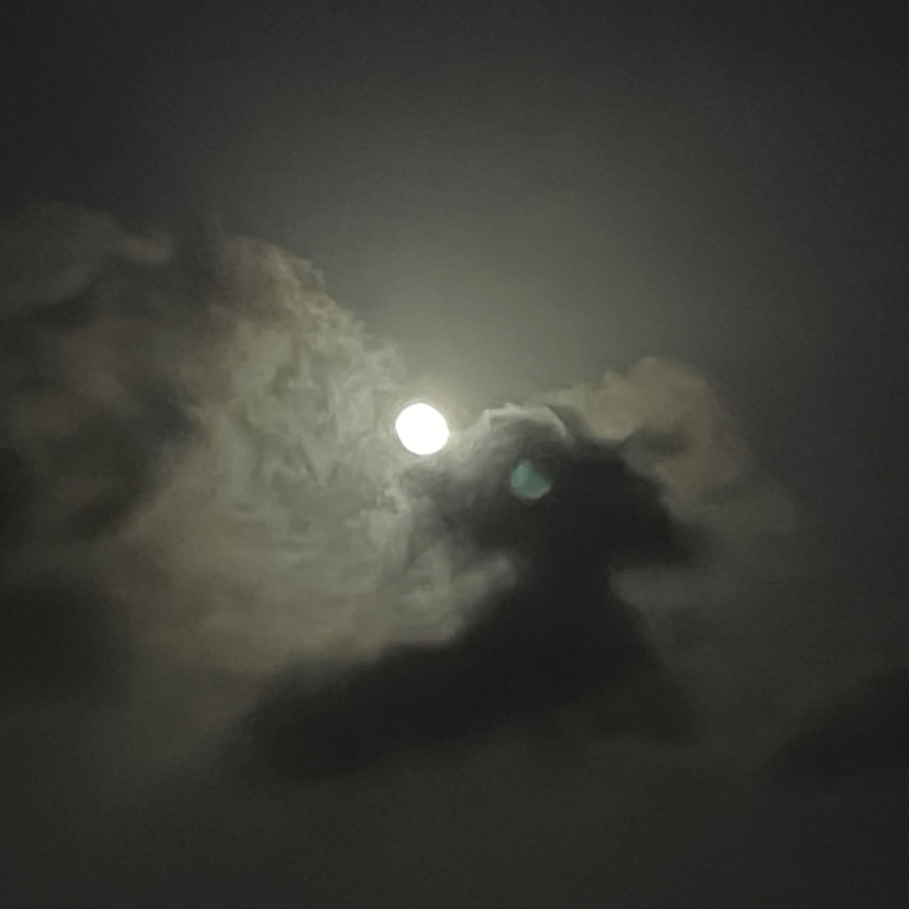 Author, singer, composer, producer