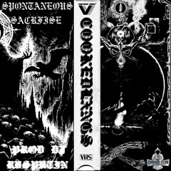 COOKEDLXNGS - SPONTANEOUS SACRIFICE [PROD. DJ RVSPVTIN]