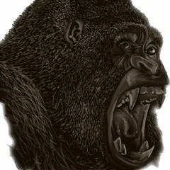 IMGroup_Act_ILL_150bpm_Beat