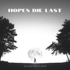 Hopes Die Last (future garage/chillstep/electronic)