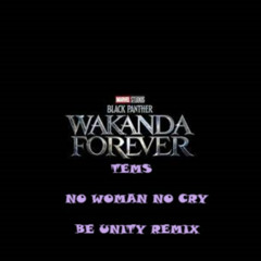 TEMS - NO WOMAN NO CRY [BE-UNITY REMIX]