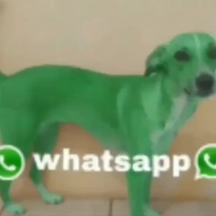 type shi (wayza)