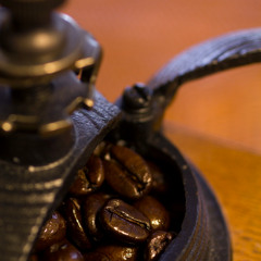 コーヒー豆を弾く(2024.10)