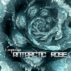 Antarctic Rose