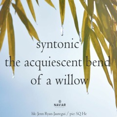 The acquiescent bend of a willow [naviarhaiku465]
