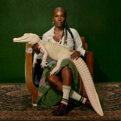 DENIAL IS A RIVER - VANNA EDIT