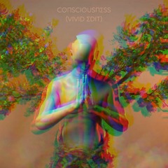 Consciousness (VIVID Edit) Anyma, Chris Avantgarde