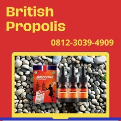 WA 0812.3039.4909, Jual Obat Diabetes Ibu Hamil Surabaya : British Propolis