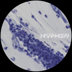 GTG Premiere | Vauna - Hydrate [HYPH003]