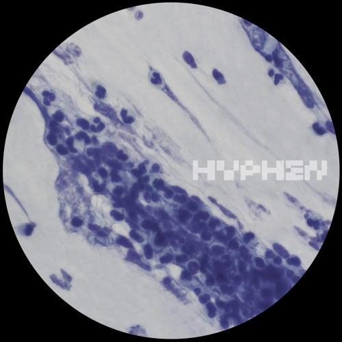 GTG Premiere | Vauna - Hydrate [HYPH003]