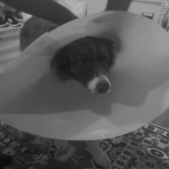 Ambrø//Sujti Napüdvözlet Remake//ATNO Forge//20250328